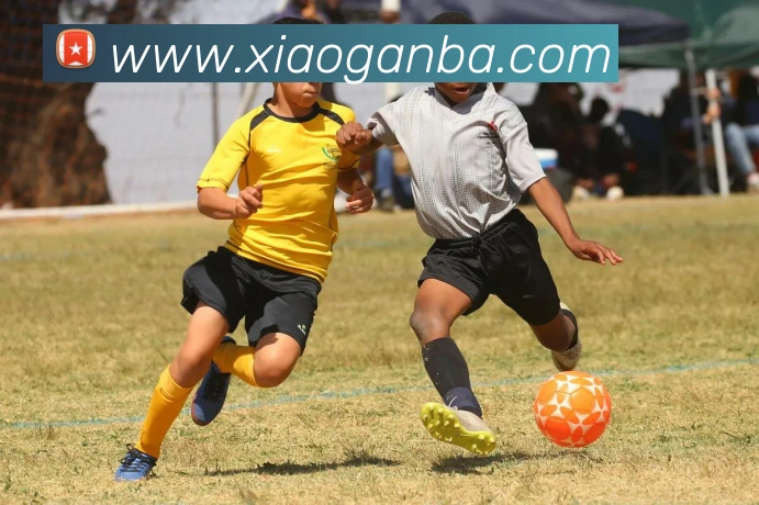 nba投注网站品牌故事